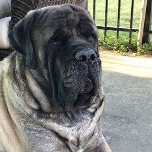 Meet your Posher, Lori